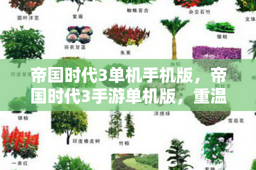 帝国时代3单机手机版,帝国时代3手游单机版,重温经典,尽享单机乐趣 帝国时代3单机手机版,帝国时代3手游单机版,重温经典,尽享单机乐趣