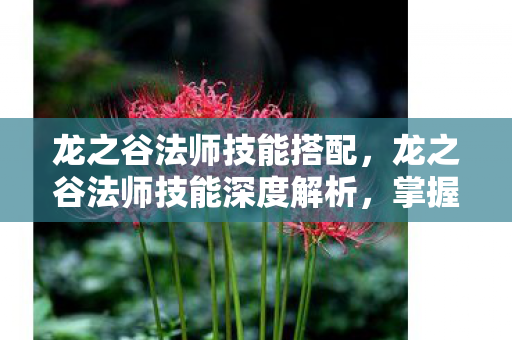 龙之谷法师技能搭配,龙之谷法师技能深度解析,掌握元素之力的奥秘 龙之谷法师技能搭配,龙之谷法师技能深度解析,掌握元素之力的奥秘