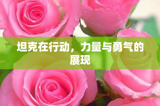 坦克在行动,力量与勇气的展现 坦克在行动,力量与勇气的展现
