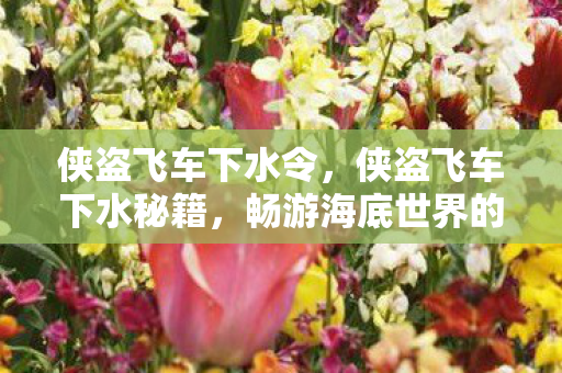 侠盗飞车下水令，侠盗飞车下水秘籍，畅游海底世界的神秘技巧