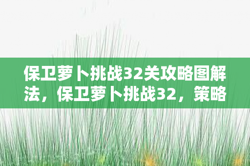 保卫萝卜挑战32关攻略图解法,保卫萝卜挑战32,策略与智慧的双重考验 保卫萝卜挑战32关攻略图解法,保卫萝卜挑战32,策略与智慧的双重考验