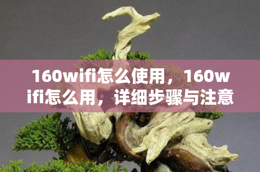 160wifi怎么使用,160wifi怎么用,详细步骤与注意事项 160wifi怎么使用,160wifi怎么用,详细步骤与注意事项