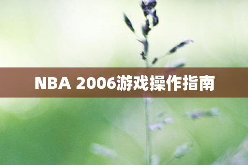 NBA 2006游戏操作指南 NBA 2006游戏操作指南