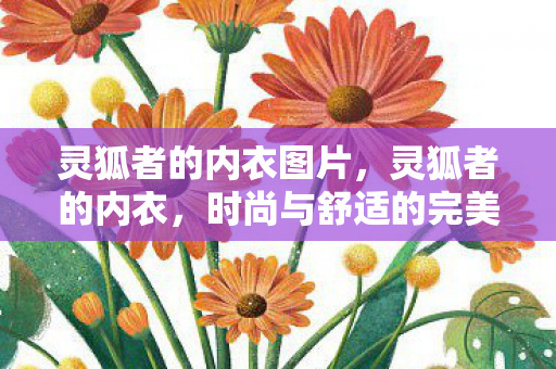 灵狐者的内衣图片，灵狐者的内衣，时尚与舒适的完美结合