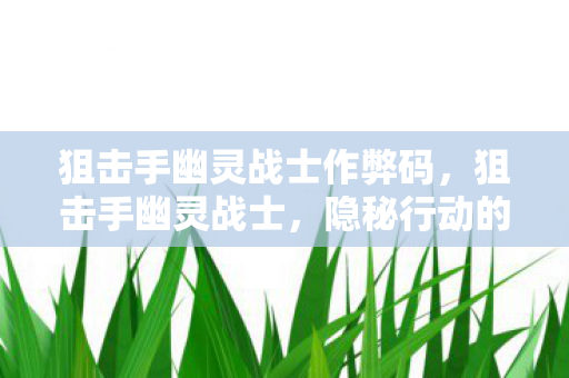 狙击手幽灵战士作弊码,狙击手幽灵战士,隐秘行动的艺术 狙击手幽灵战士作弊码,狙击手幽灵战士,隐秘行动的艺术