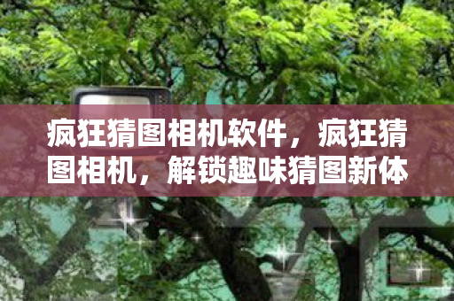 疯狂猜图相机软件,疯狂猜图相机,解锁趣味猜图新体验 疯狂猜图相机软件,疯狂猜图相机,解锁趣味猜图新体验