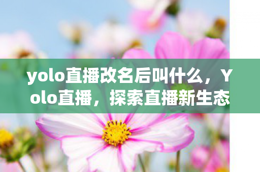 yolo直播改名后叫什么,Yolo直播,探索直播新生态,引领娱乐新潮流 yolo直播改名后叫什么,Yolo直播,探索直播新生态,引领娱乐新潮流
