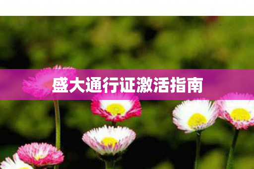 盛大通行证激活指南 盛大通行证激活指南