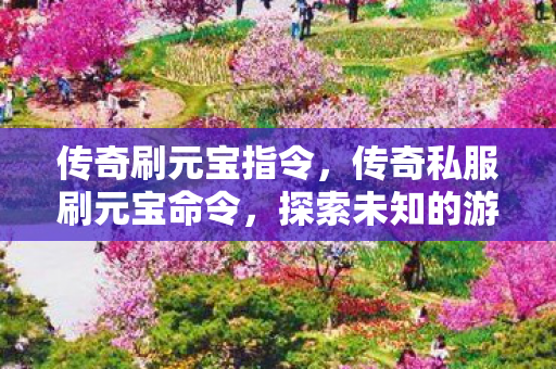 传奇刷元宝指令，传奇私服刷元宝命令，探索未知的游戏世界
