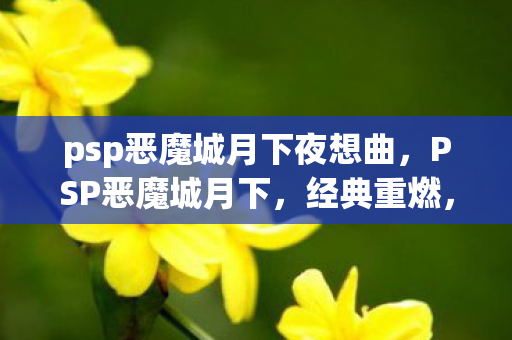 psp恶魔城月下夜想曲,PSP恶魔城月下,经典重燃,月下再现 psp恶魔城月下夜想曲,PSP恶魔城月下,经典重燃,月下再现