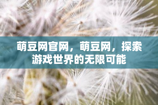 萌豆网官网,萌豆网,探索游戏世界的无限可能 萌豆网官网,萌豆网,探索游戏世界的无限可能