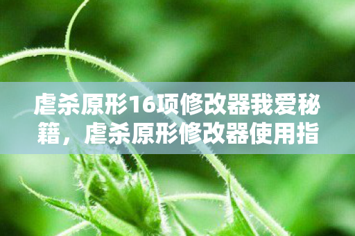 虐杀原形16项修改器我爱秘籍,虐杀原形修改器使用指南 虐杀原形16项修改器我爱秘籍,虐杀原形修改器使用指南
