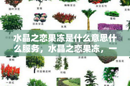水晶之恋果冻是什么意思什么服务,水晶之恋果冻,一场浪漫与甜蜜的邂逅 水晶之恋果冻是什么意思什么服务,水晶之恋果冻,一场浪漫与甜蜜的邂逅