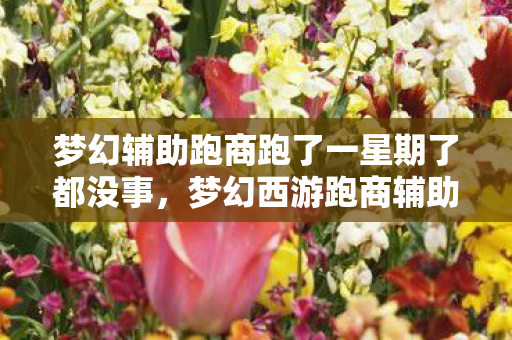 梦幻辅助跑商跑了一星期了都没事,梦幻西游跑商辅助器,提升游戏效率与乐趣的利器 梦幻辅助跑商跑了一星期了都没事,梦幻西游跑商辅助器,提升游戏效率与乐趣的利器