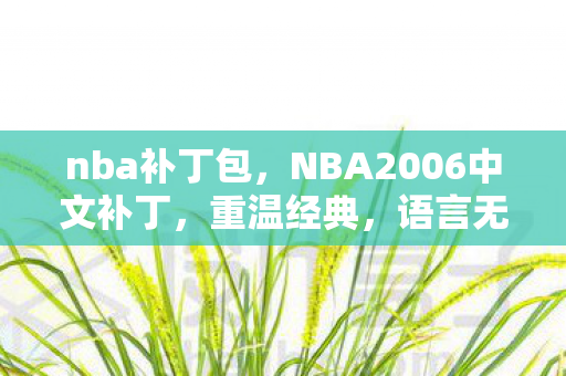 nba补丁包,NBA2006中文补丁,重温经典,语言无界 nba补丁包,NBA2006中文补丁,重温经典,语言无界