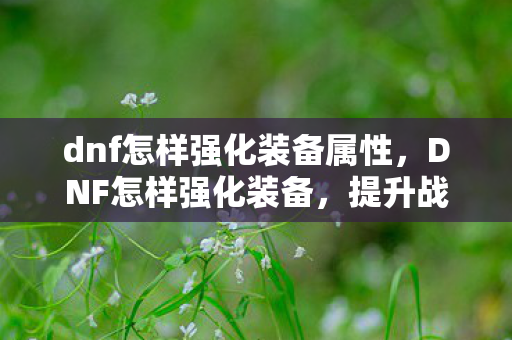 dnf怎样强化装备属性,DNF怎样强化装备,提升战斗力的关键步骤 dnf怎样强化装备属性,DNF怎样强化装备,提升战斗力的关键步骤