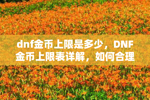 dnf金币上限是多少,DNF金币上限表详解,如何合理管理游戏资源 dnf金币上限是多少,DNF金币上限表详解,如何合理管理游戏资源