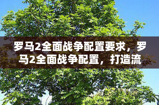 罗马2全面战争配置要求,罗马2全面战争配置,打造流畅游戏体验的硬件指南 罗马2全面战争配置要求,罗马2全面战争配置,打造流畅游戏体验的硬件指南