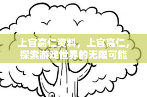 上官高仁资料,上官高仁,探索游戏世界的无限可能 上官高仁资料,上官高仁,探索游戏世界的无限可能