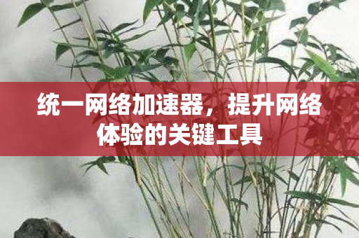 统一网络加速器,提升网络体验的关键工具 统一网络加速器,提升网络体验的关键工具