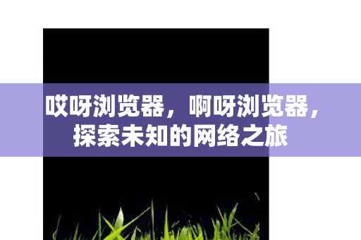 哎呀浏览器,啊呀浏览器,探索未知的网络之旅 哎呀浏览器,啊呀浏览器,探索未知的网络之旅