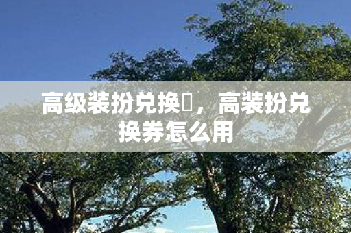 高级装扮兑换劵,高装扮兑换券怎么用 高级装扮兑换劵,高装扮兑换券怎么用