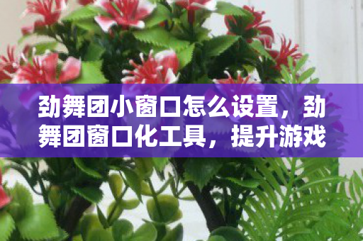 劲舞团小窗口怎么设置,劲舞团窗口化工具,提升游戏自由度的神器 劲舞团小窗口怎么设置,劲舞团窗口化工具,提升游戏自由度的神器