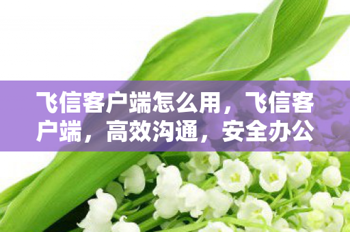 飞信客户端怎么用,飞信客户端,高效沟通,安全办公的新选择 飞信客户端怎么用,飞信客户端,高效沟通,安全办公的新选择