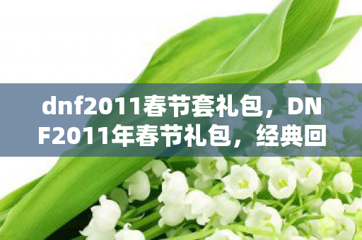 dnf2011春节套礼包,DNF2011年春节礼包,经典回忆与独特魅力 dnf2011春节套礼包,DNF2011年春节礼包,经典回忆与独特魅力