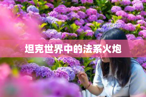 坦克世界中的法系火炮 坦克世界中的法系火炮