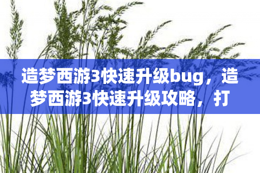 造梦西游3快速升级bug,造梦西游3快速升级攻略,打造你的西游之旅 造梦西游3快速升级bug,造梦西游3快速升级攻略,打造你的西游之旅