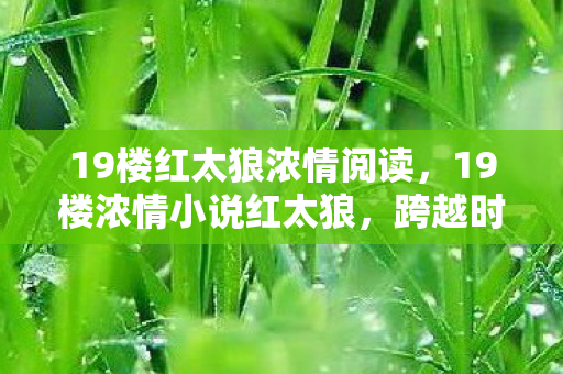19楼红太狼浓情阅读,19楼浓情小说红太狼,跨越时空的浪漫邂逅 19楼红太狼浓情阅读,19楼浓情小说红太狼,跨越时空的浪漫邂逅
