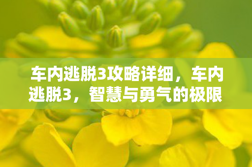 车内逃脱3攻略详细,车内逃脱3,智慧与勇气的极限挑战 车内逃脱3攻略详细,车内逃脱3,智慧与勇气的极限挑战