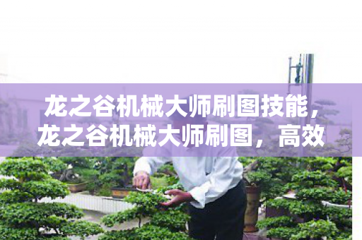 龙之谷机械大师刷图技能,龙之谷机械大师刷图,高效与策略的完美结合 龙之谷机械大师刷图技能,龙之谷机械大师刷图,高效与策略的完美结合