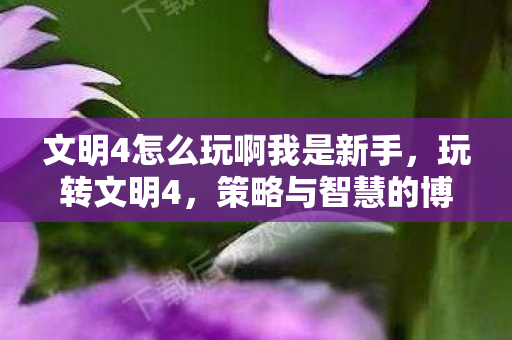 文明4怎么玩啊我是新手,玩转文明4,策略与智慧的博弈 文明4怎么玩啊我是新手,玩转文明4,策略与智慧的博弈