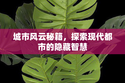 城市风云秘籍,探索现代都市的隐藏智慧 城市风云秘籍,探索现代都市的隐藏智慧