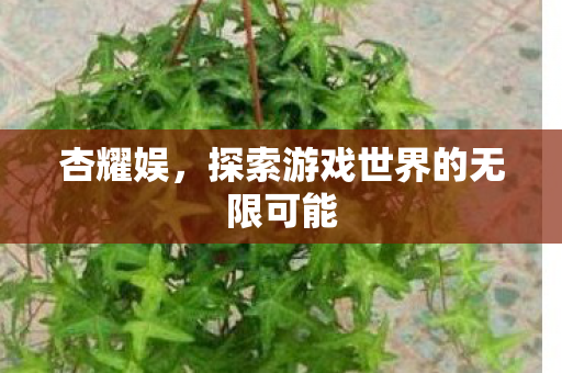 杏耀娱,探索游戏世界的无限可能 杏耀娱,探索游戏世界的无限可能