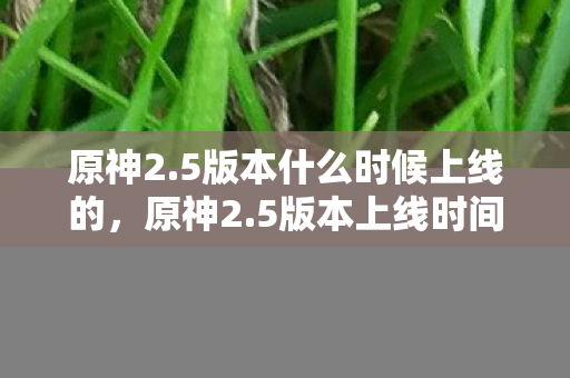 原神2.5版本什么时候上线的,原神2.5版本上线时间解析,期待与猜测的交汇 原神2.5版本什么时候上线的,原神2.5版本上线时间解析,期待与猜测的交汇