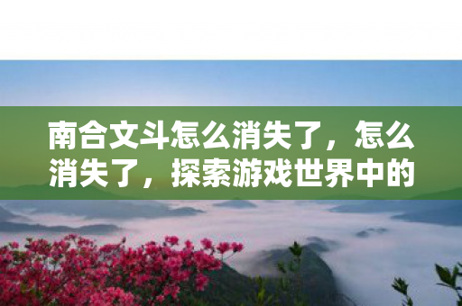 南合文斗怎么消失了,怎么消失了,探索游戏世界中的消失现象 南合文斗怎么消失了,怎么消失了,探索游戏世界中的消失现象