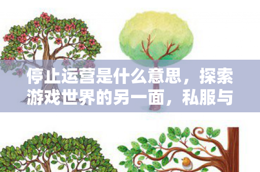 停止运营是什么意思,探索游戏世界的另一面,私服与官方服务器的独特体验对比 停止运营是什么意思,探索游戏世界的另一面,私服与官方服务器的独特体验对比