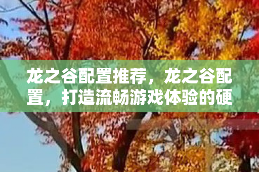 龙之谷配置推荐,龙之谷配置,打造流畅游戏体验的硬件指南 龙之谷配置推荐,龙之谷配置,打造流畅游戏体验的硬件指南