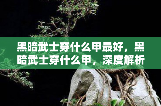 黑暗武士穿什么甲最好,黑暗武士穿什么甲,深度解析DNF中的职业装备选择 黑暗武士穿什么甲最好,黑暗武士穿什么甲,深度解析DNF中的职业装备选择