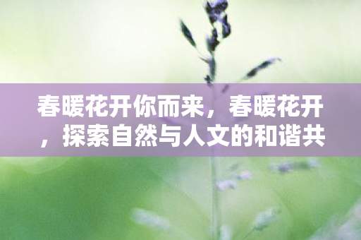 春暖花开你而来，春暖花开，探索自然与人文的和谐共生