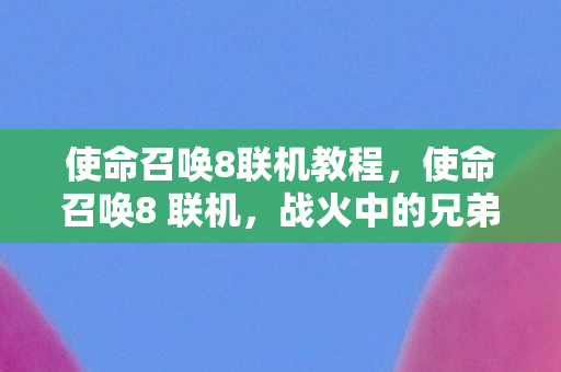使命召唤8联机教程,使命召唤8 联机,战火中的兄弟情 使命召唤8联机教程,使命召唤8 联机,战火中的兄弟情