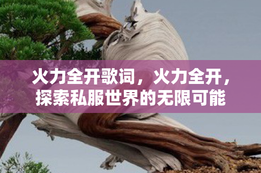 火力全开歌词,火力全开,探索私服世界的无限可能 火力全开歌词,火力全开,探索私服世界的无限可能