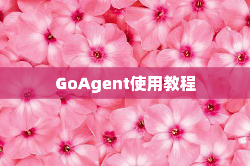 GoAgent使用教程 GoAgent使用教程