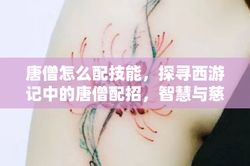 唐僧怎么配技能,探寻西游记中的唐僧配招,智慧与慈悲的完美结合 唐僧怎么配技能,探寻西游记中的唐僧配招,智慧与慈悲的完美结合