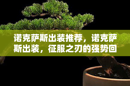诺克萨斯出装推荐,诺克萨斯出装,征服之刃的强势回归 诺克萨斯出装推荐,诺克萨斯出装,征服之刃的强势回归