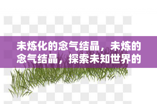未炼化的念气结晶,未炼的念气结晶,探索未知世界的神秘力量 未炼化的念气结晶,未炼的念气结晶,探索未知世界的神秘力量