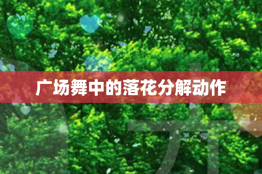 广场舞中的落花分解动作 广场舞中的落花分解动作